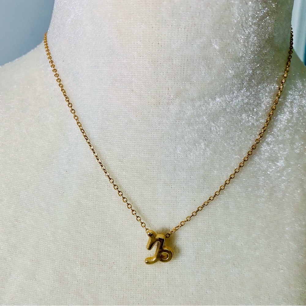 Gold Capricorn ♑️ Necklace